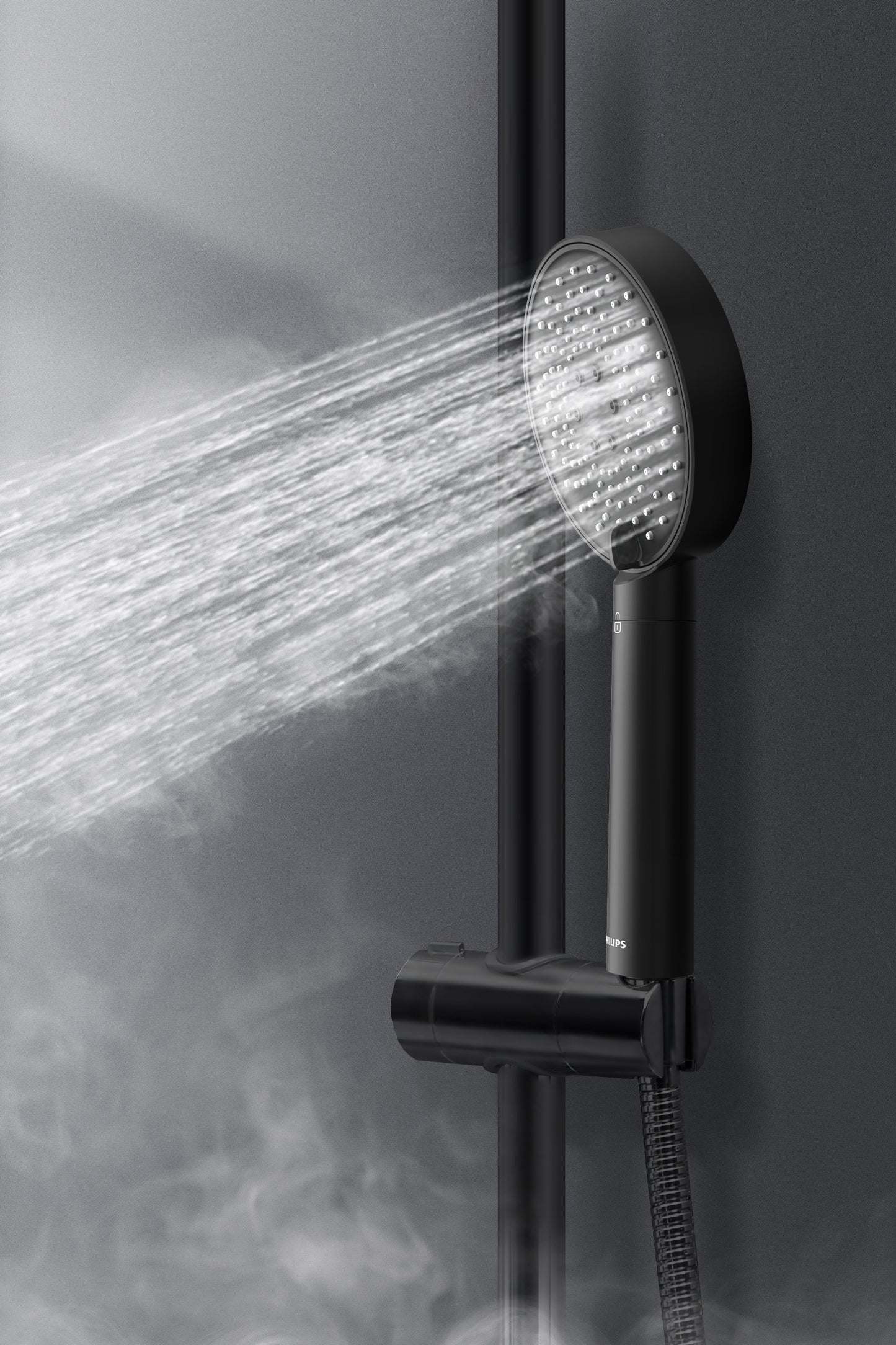 Philips handheld shower head (Black)